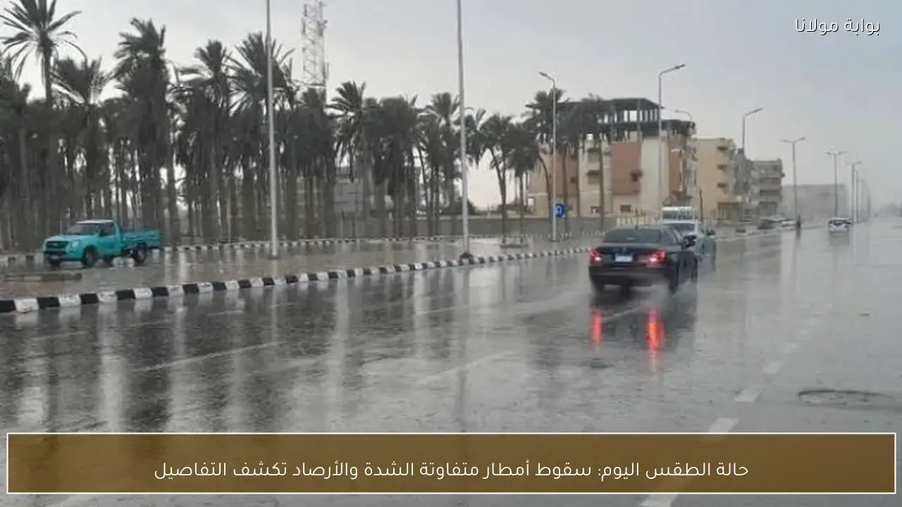 توقعات الأرصاد الجوية بشأن خريطة سقوط أمطار متفاوتة الشدة بمناطق مختلفة اليوم